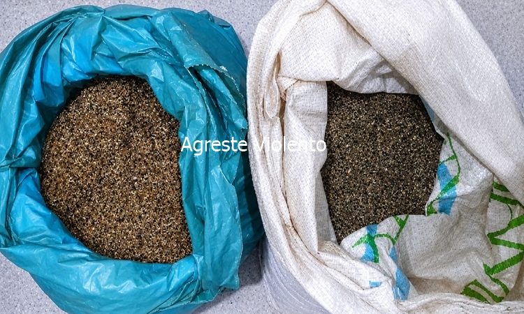 BEPI apreende cerca de 20 kg de maconha na zona rural de Salgueiro